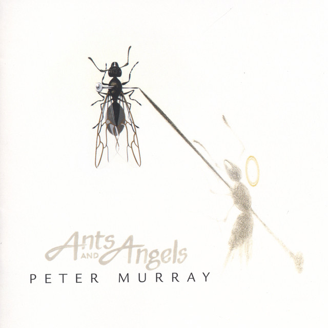 Peter Murray Ants and Angels